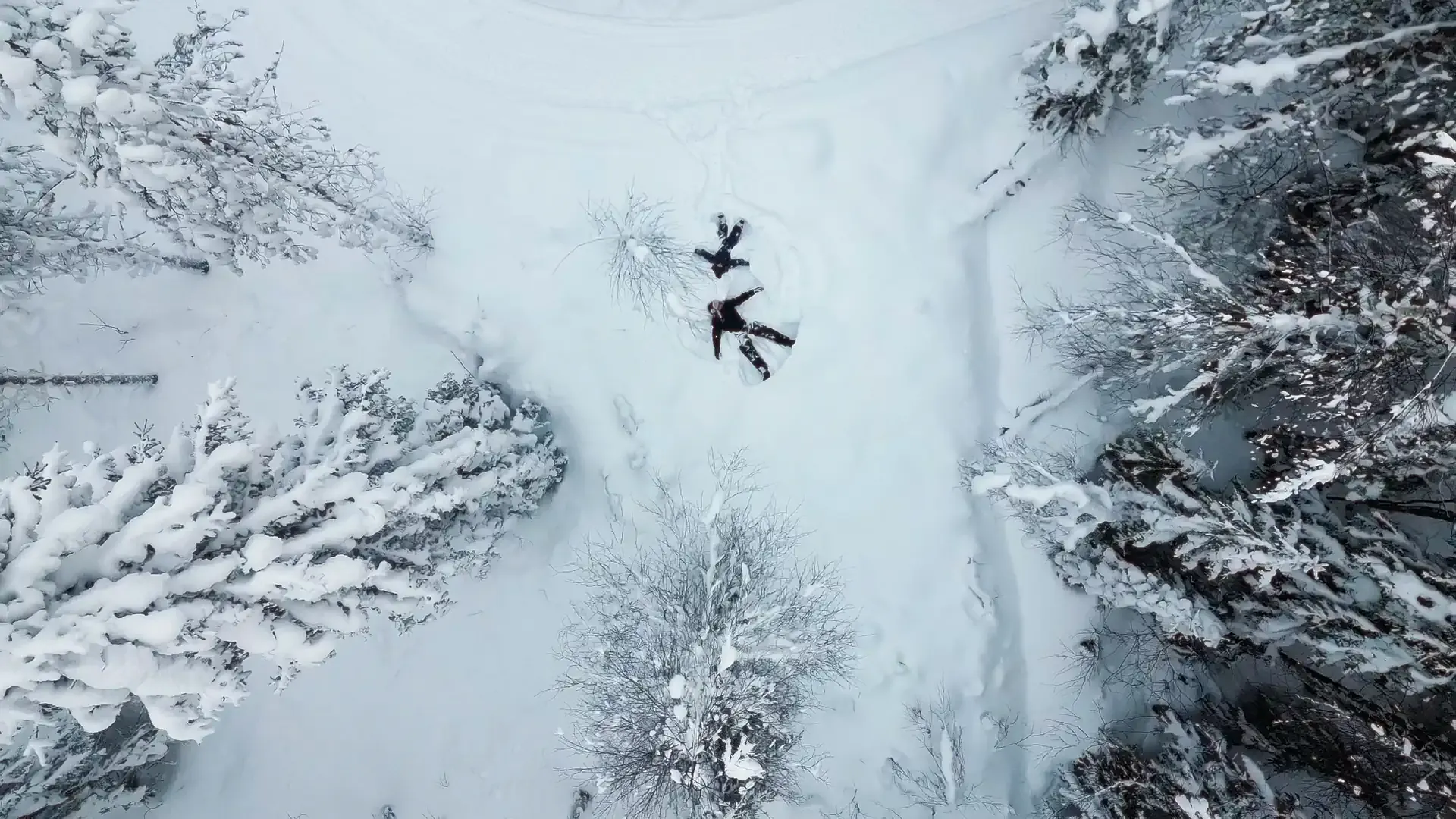 An aerial view straight down onto two people lying in deep snow making snow angels in a clearing between heavily snow-laden trees